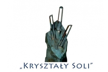 Zgłoś organizację do Nagrody "Kryształy Soli"