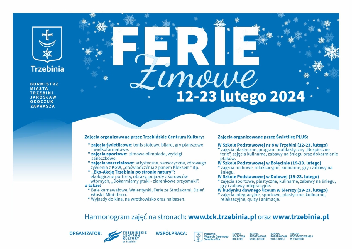 Plakat biało niebieski, śnieżynki 