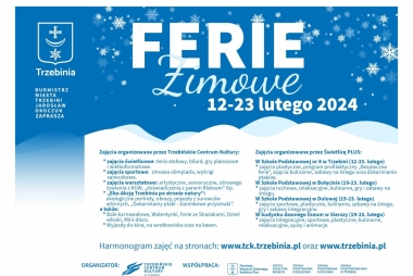 Plakat biało niebieski, śnieżynki 