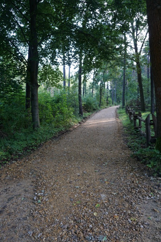 Ścieżka rowerowa 