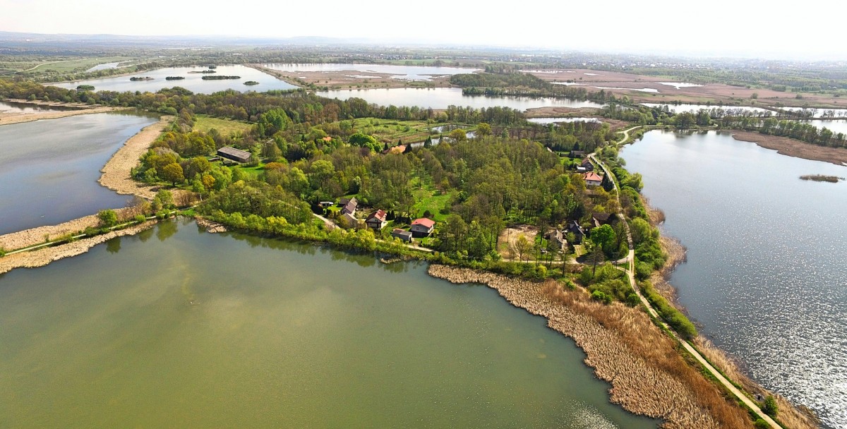 Widok z lotu ptaka na stawy, drzewa oraz zabudowania mieszkalne