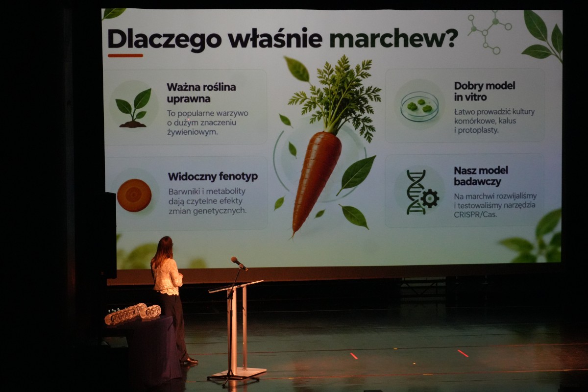 Zdjęcie kobiety przemawiającej zza mównicy. W tle prezentacja.