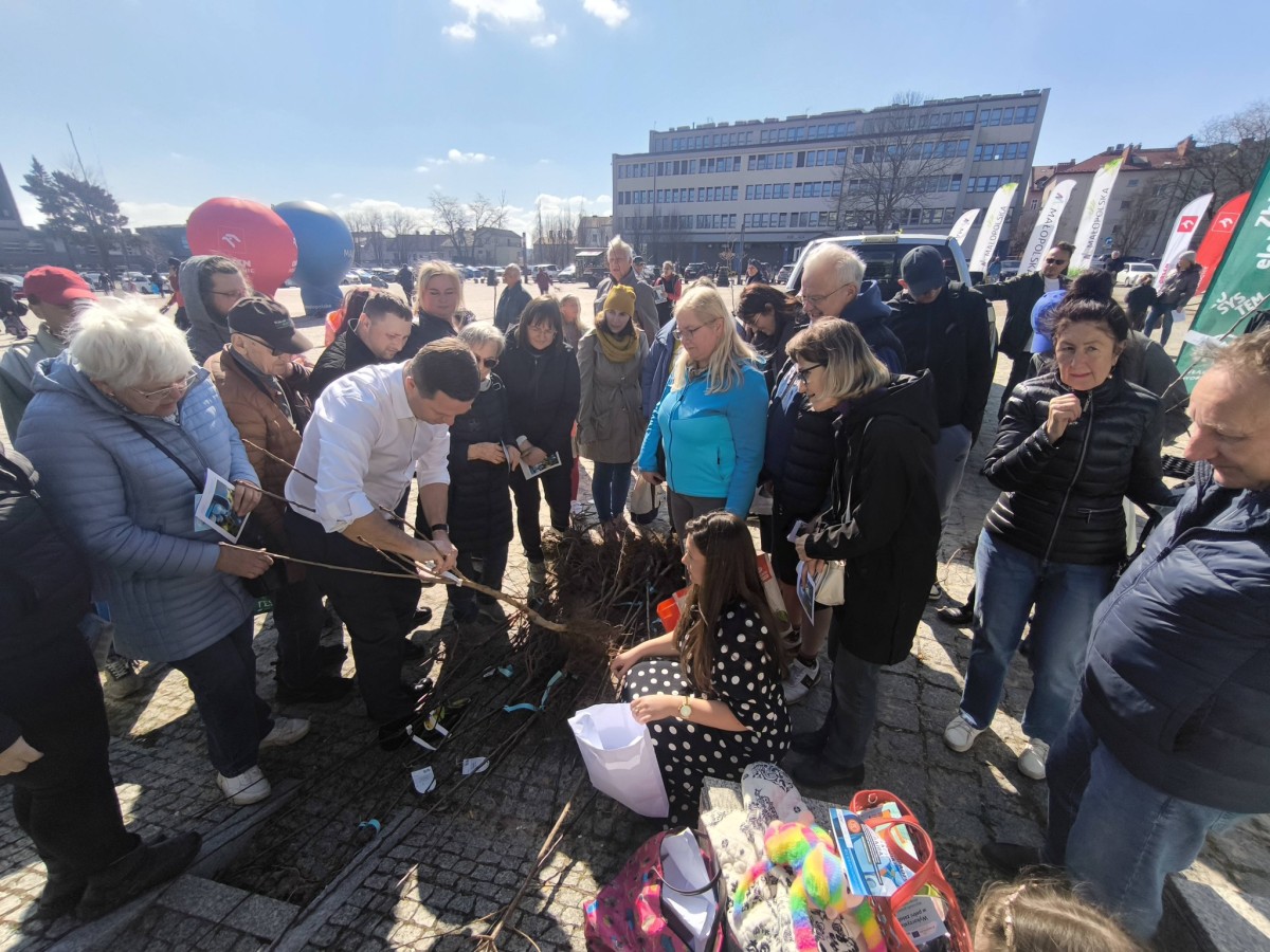 Grupa osób przy sadzonkach drzewek owocowych 