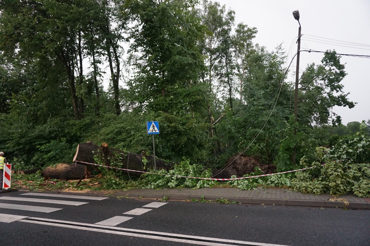 Uszkodzone kable energetyczne przy ul. Oświęcimskiej w Chrzanowie 