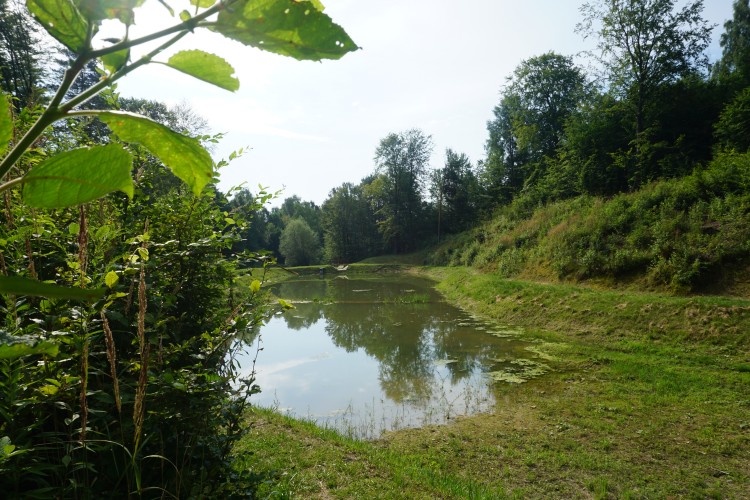 Towarzystwo Wędkarskie Pogorzyce zaprasza mieszkańców na teren Stawów Kaskadowych