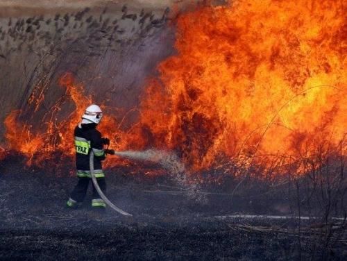 Uwaga! W lasach wysoki stopień zagrożenia pożarowego 