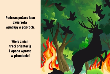 Zwierzyna uciekająca przed ogniem 