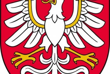 Ankieta dla organizacji pozarządowych działających w Małopolsce