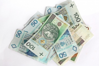 NGO – nasze oczko w głowie. Doceniamy społeczników, pomagamy finansowo 