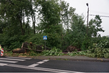 Uszkodzone kable energetyczne przy ul. Oświęcimskiej w Chrzanowie 