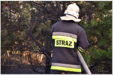 Poznaj pracę strażaków 