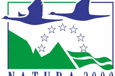 Konsultacje projektu
