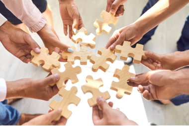 Zdjęcie dziesięciu dłoni. Każda z dłoni trzyma duży, drewniany kawałek puzzla.