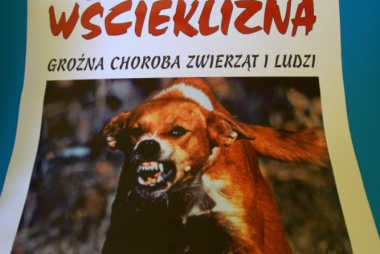 Zaszczep psa przeciwko wściekliźnie! 